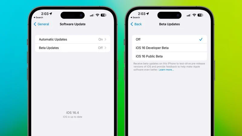iOS 17 Developer Beta Kısıtlaması