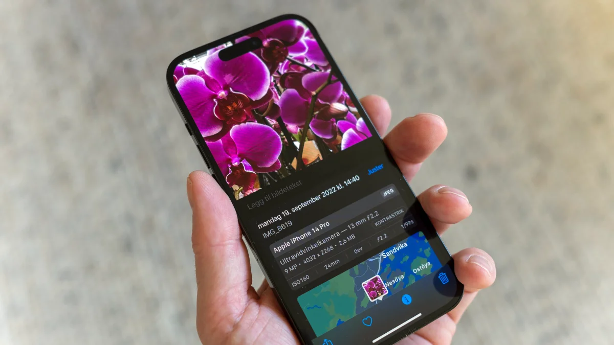 Apple Garanti Sorgulama Nasıl Yapılır?