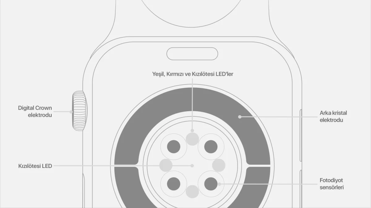 Akıllı Saatlerde EKG Nasıl Çalışır?